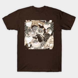 Cats Paradise in chocolate T-Shirt